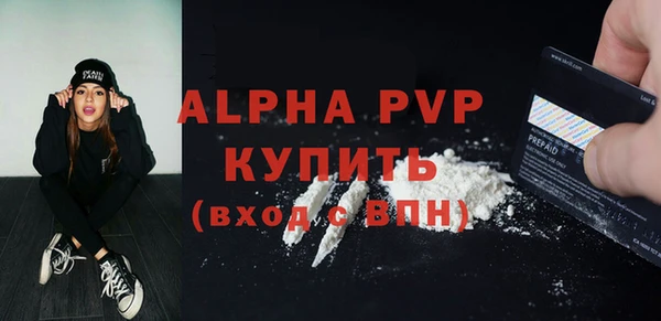 СК Пересвет