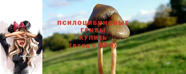 гашишное масло Белокуриха
