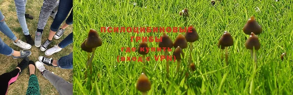 трава Белоозёрский