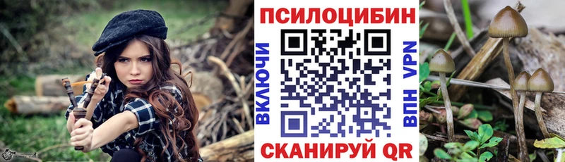 Галлюциногенные грибы ЛСД  Рудня 