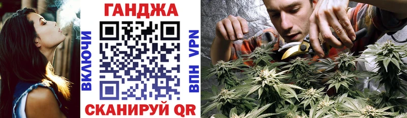 маркетплейс Telegram  что такое   Рудня  Каннабис сатива 