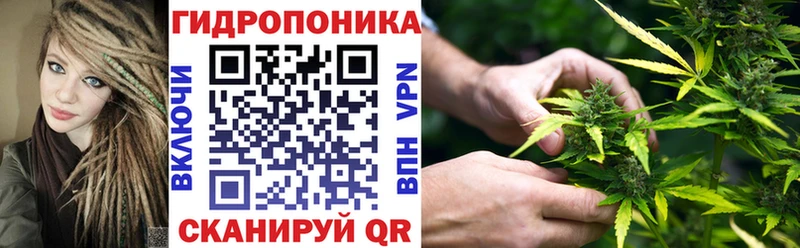 Шишки марихуана конопля Рудня